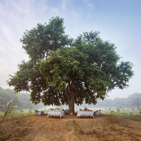 Mela Kothi - The Chambal Safari Lodge Bāh Zewnętrze zdjęcie