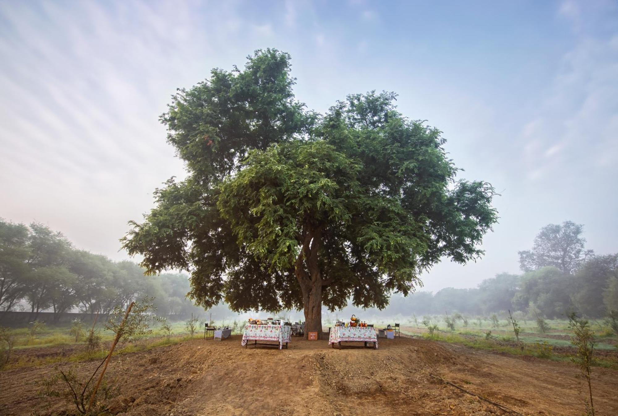 Mela Kothi - The Chambal Safari Lodge Bāh Zewnętrze zdjęcie