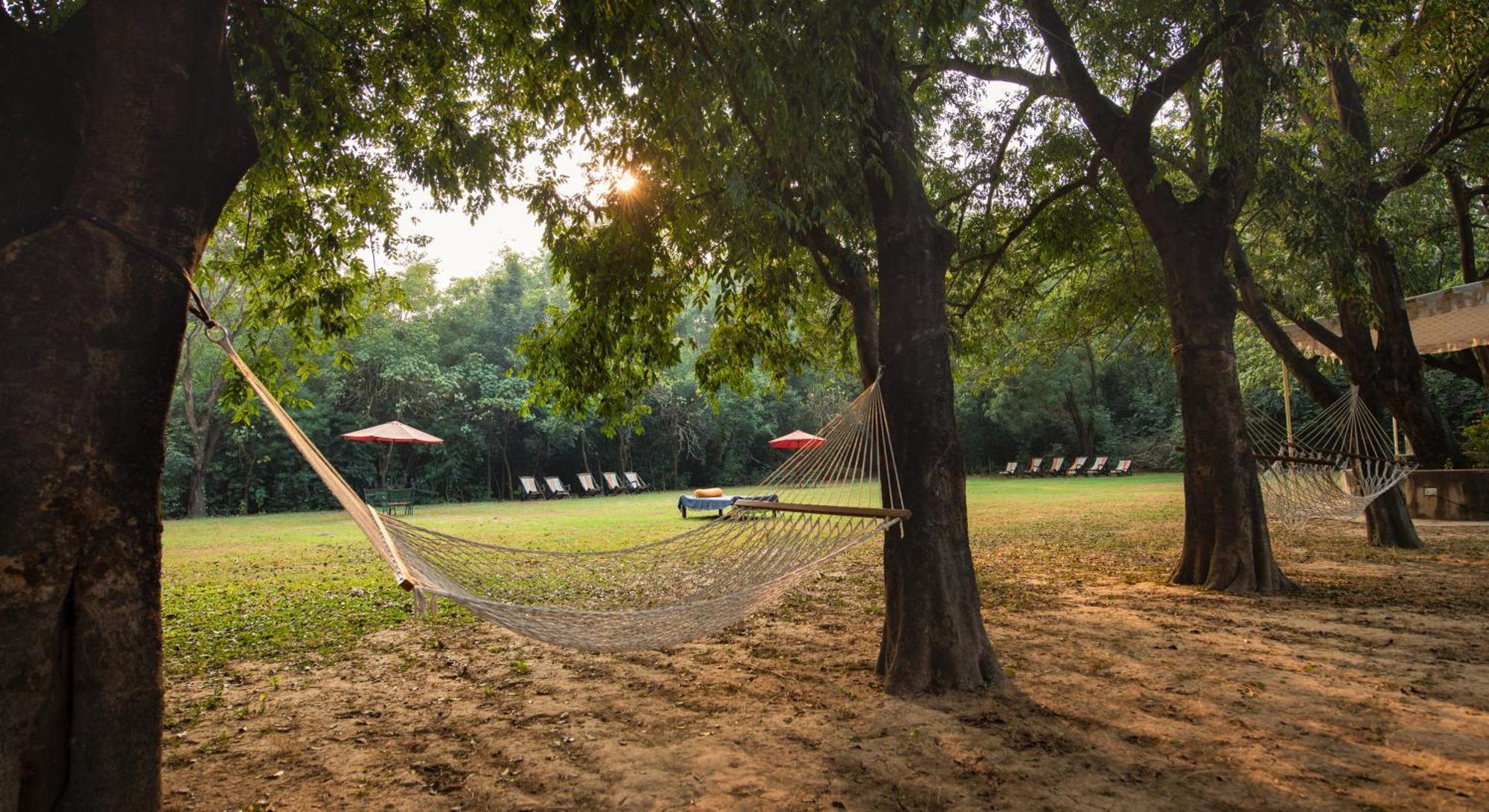 Mela Kothi - The Chambal Safari Lodge Bāh Zewnętrze zdjęcie