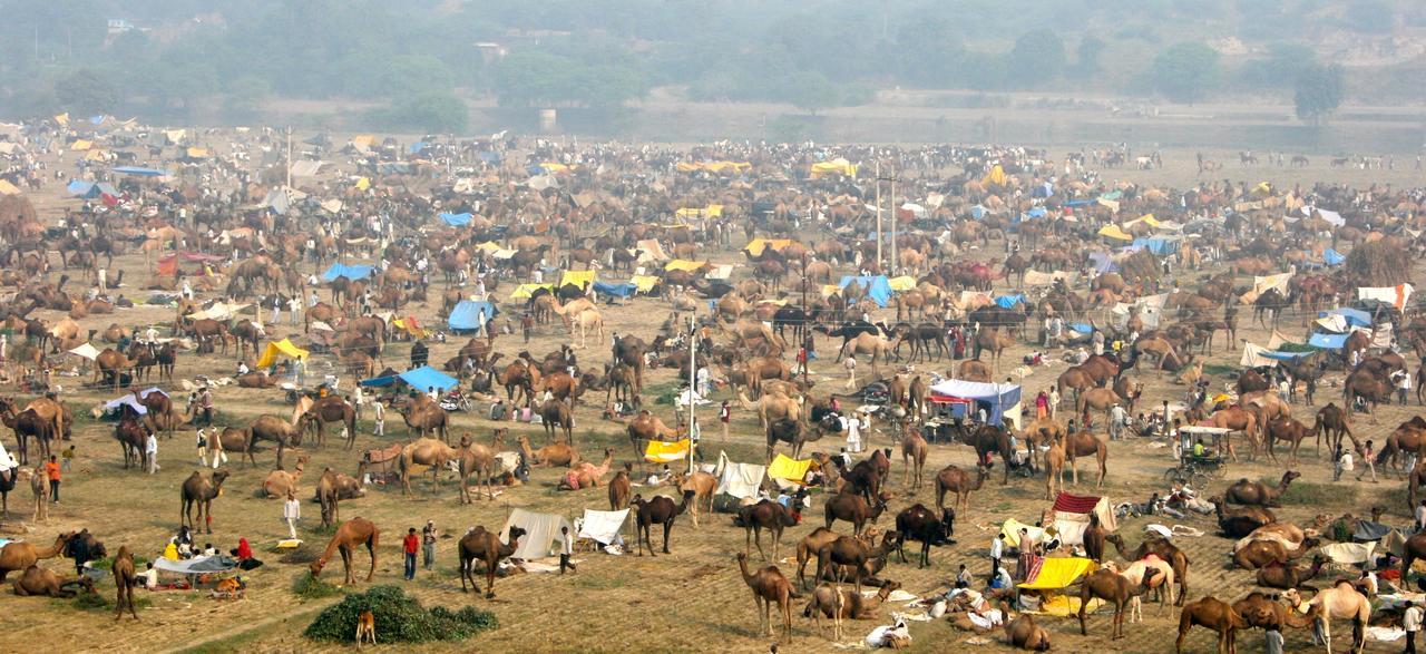 Mela Kothi - The Chambal Safari Lodge Bāh Zewnętrze zdjęcie